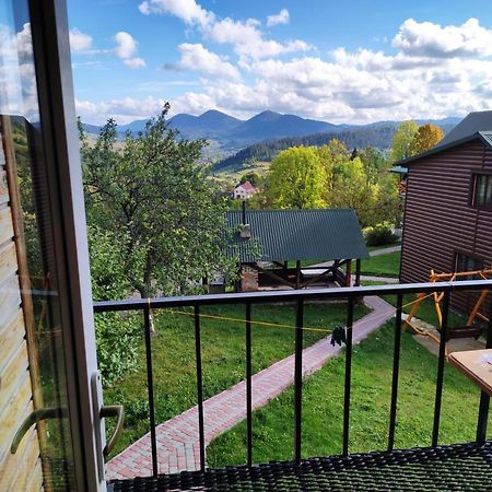 Cottage Panorama Karpat Volosyanka  Eksteriør billede