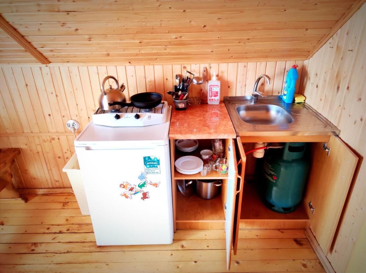 Cottage Panorama Karpat Volosyanka  Eksteriør billede