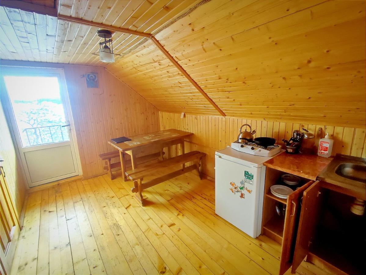 Cottage Panorama Karpat Volosyanka  Eksteriør billede